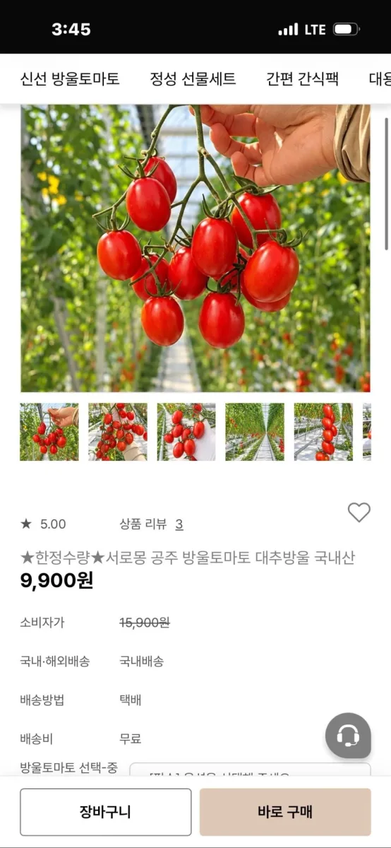 [자사몰] 방울토마토 1.5kg (9,900원/무료)