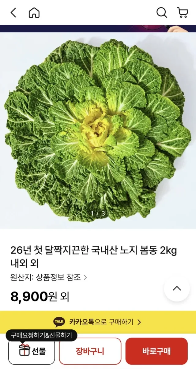[ns몰] 26년 국산 노지 봄동 2kg내외 (8,900원/무료)