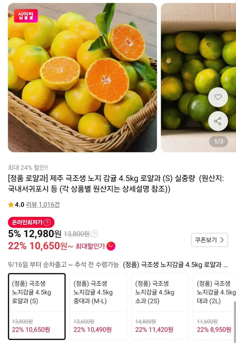 [11번가] 제주 극조생 노지 감귤 로얄과 4.5kg (10,650원/무료)
