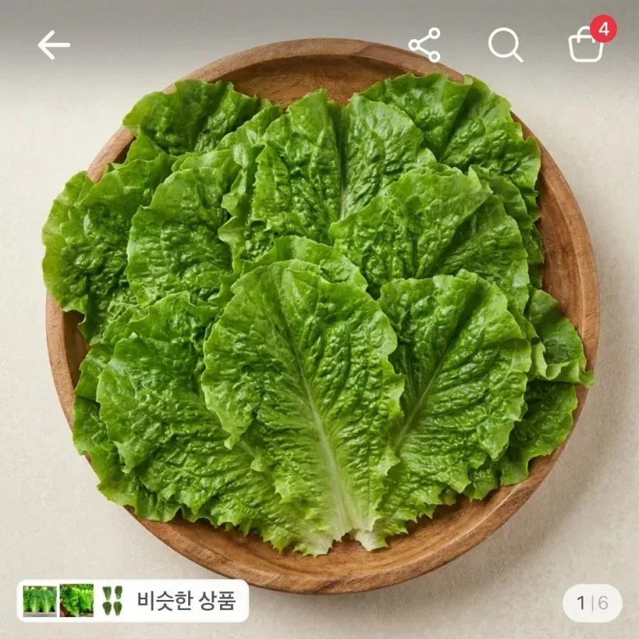 [토스] 청상추 2kg (5,900원/무료)