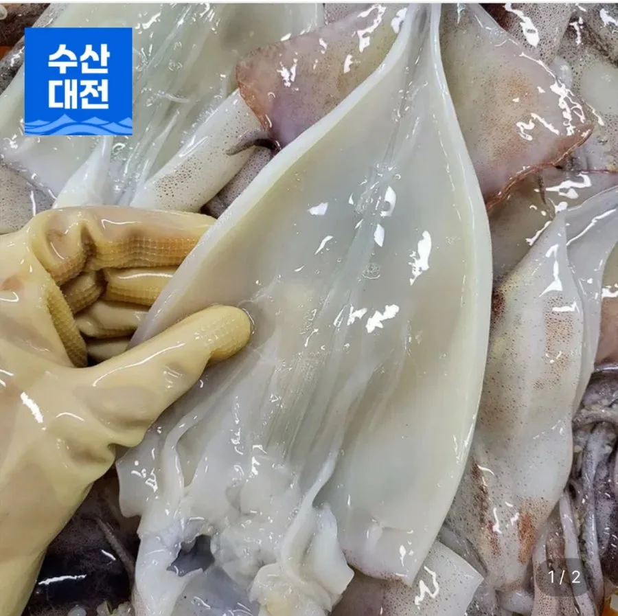 [롯데온] 손질통오징어 10마리 220g 5팩 (16,610원/무배)