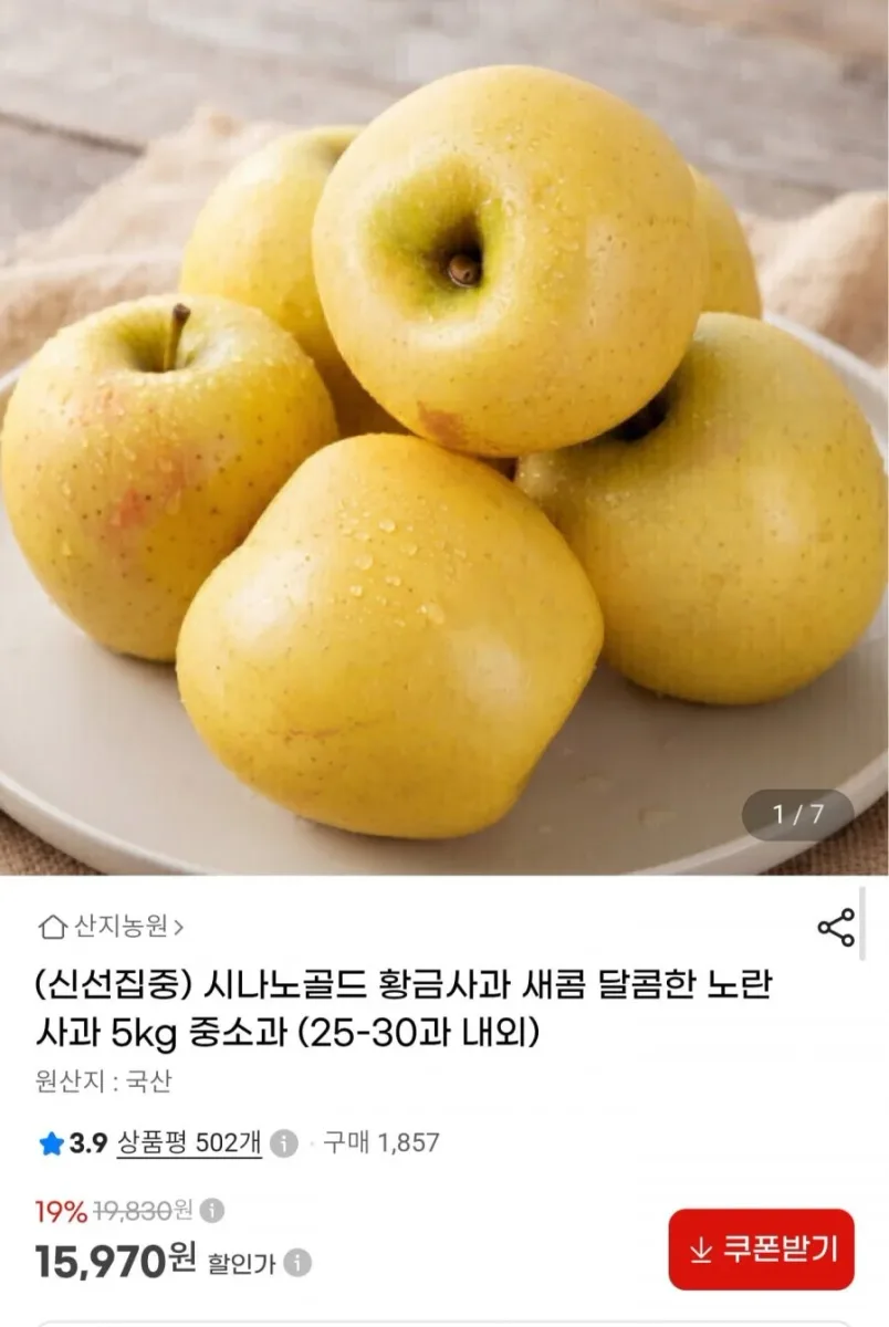[G마켓] 시나노골드 황금사과 5kg 중소과 (15,970원/무료배송)