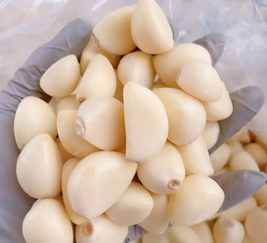 [우체국쇼핑] (농할) 국내산 26년 무안 깐마늘 500g ( 대 ) (5,720원/무료)