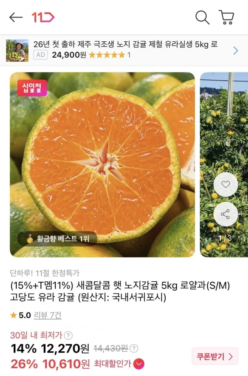 [11번가] 햇 노지감귤 5kg 로얄과 (10,610원/무료배송)
