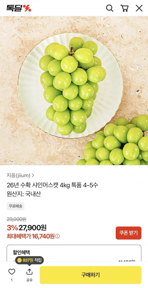 [카카오] 26년 수확 샤인머스캣 4kg 특품 4-5수 (16,740원/무료배송)