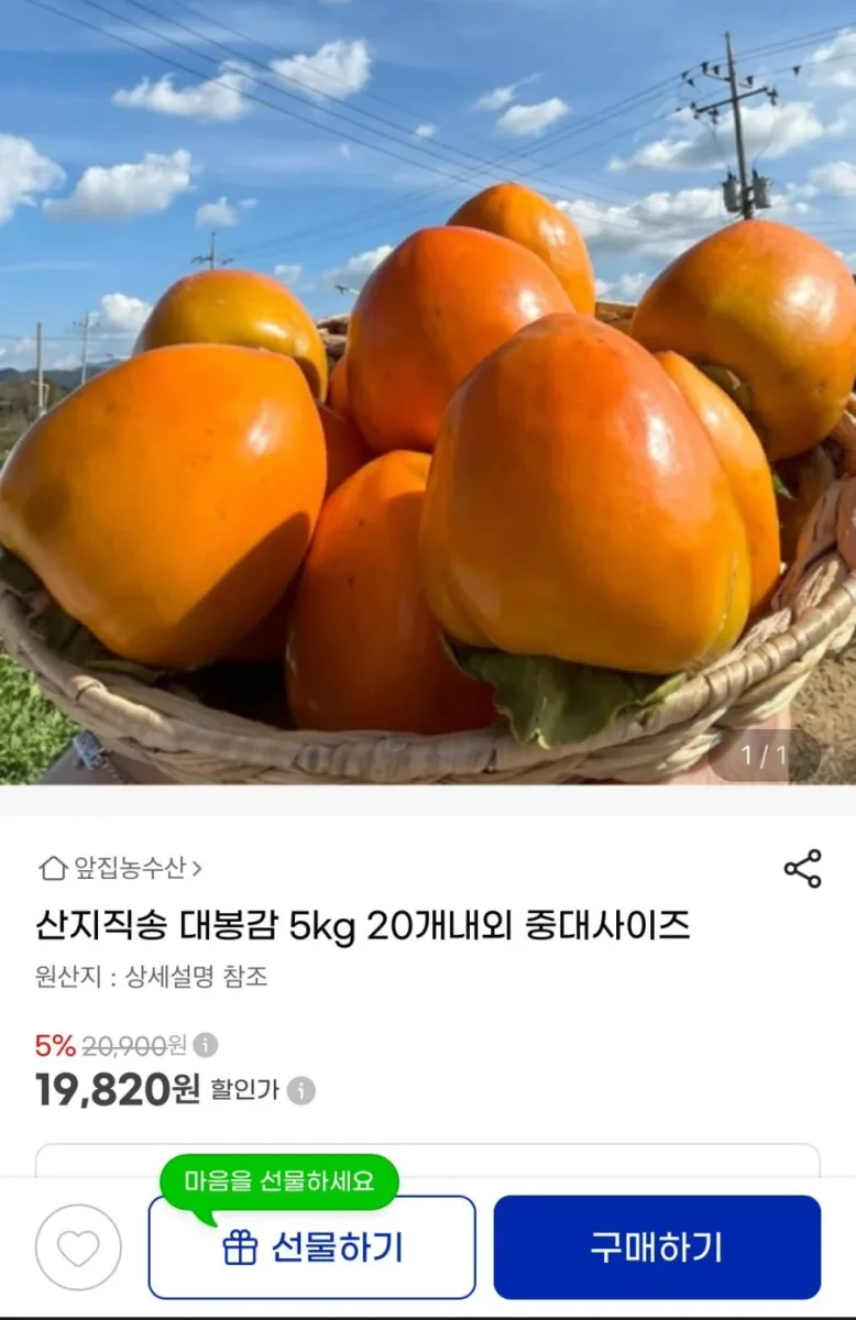 [지마켓] 산지직송 대봉감 5kg 20개내외 중대사이즈 (19,820/무료)