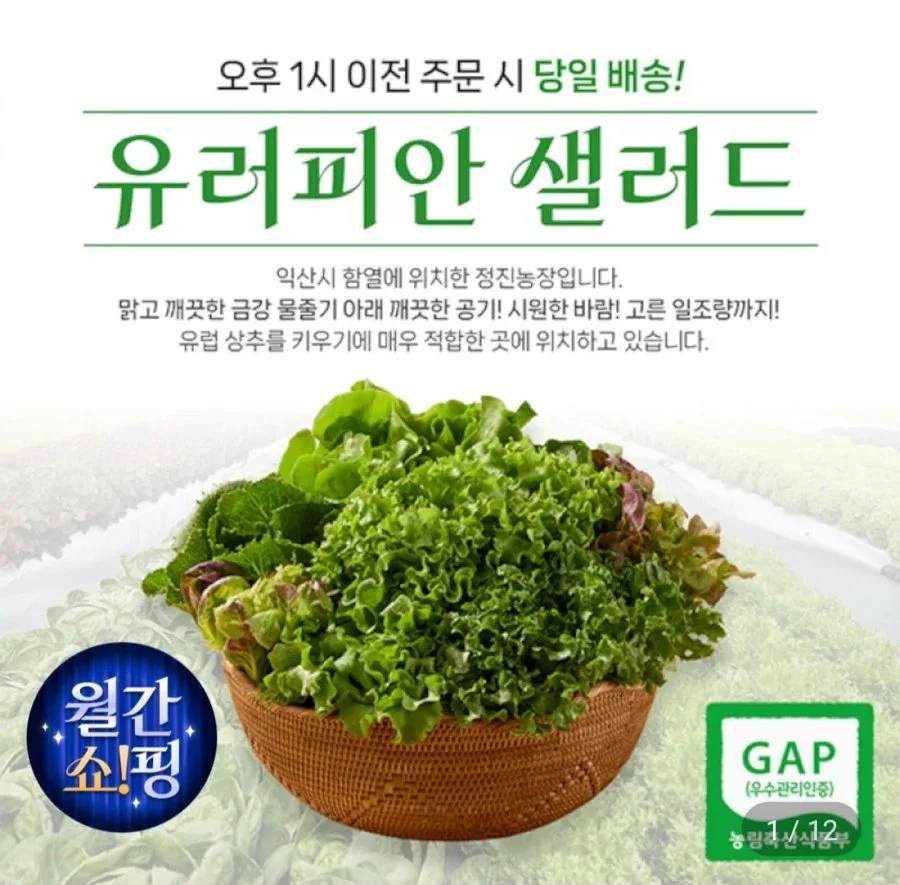 [지마켓] 샐러드상추쌈채소 1kg (6,170원/무료)