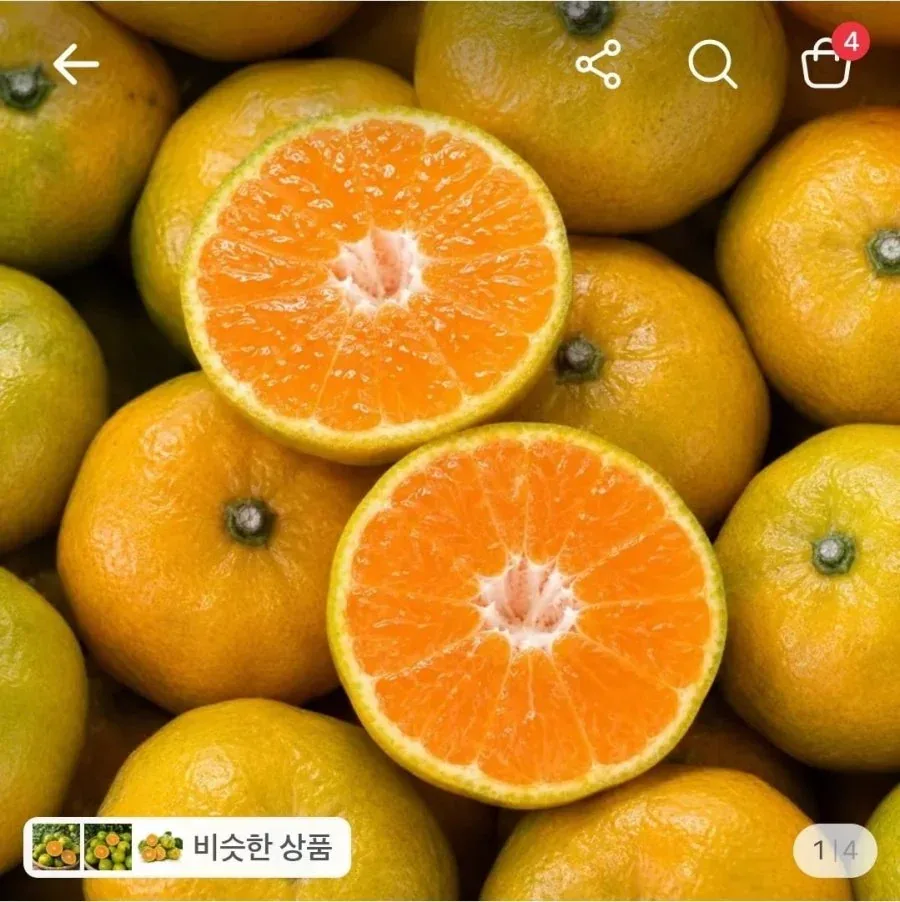 [토스] 감귤 대과 5kg (4,920원/무료)