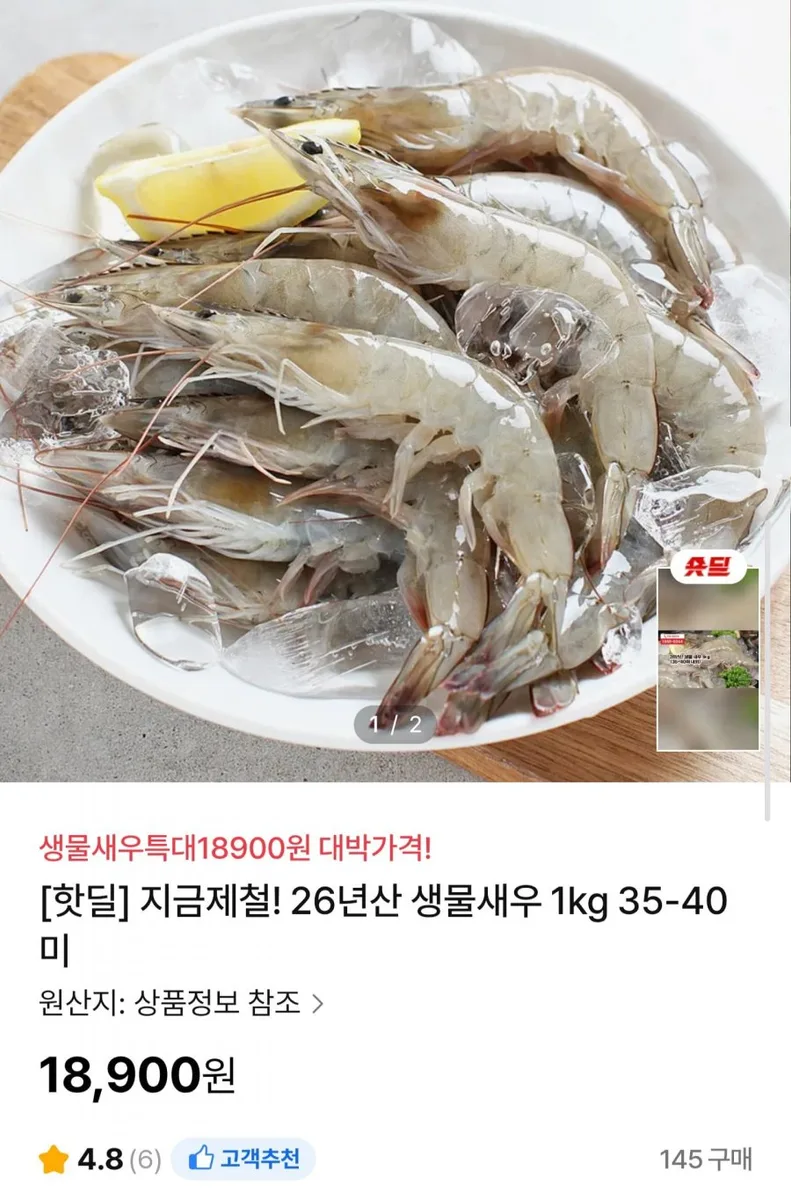 [NS홈쇼핑] 26년산 생물새우 1kg 35~40미 (18,900원/무료)