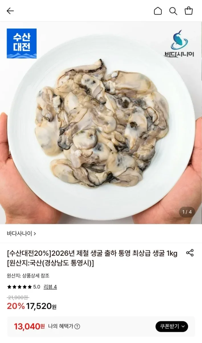 [롯데온] 26년 제철 통영 생굴 1kg (13,040원/무료)