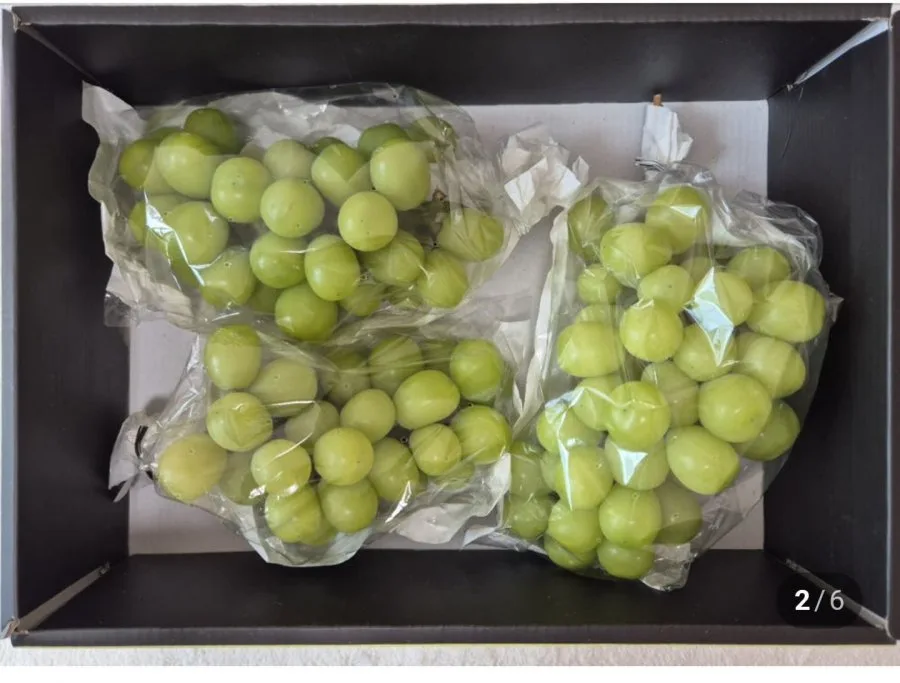 [네이버] 국산 샤인머스켓 1kg (10,900원/무료)