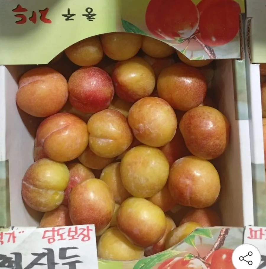 [지마켓] 추희자두 대과 3kg 100g급 30개 내외 (18,910원/무배)