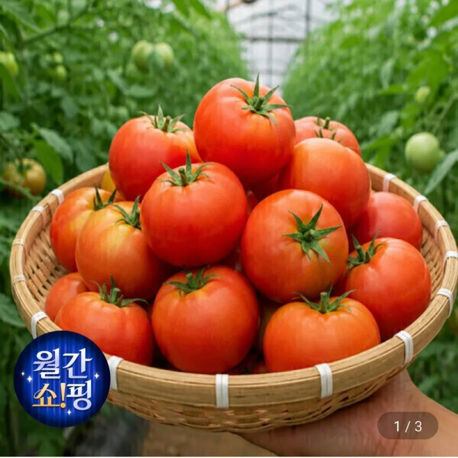 [지마켓] 완숙토마토 4kg 쥬스용 (10,210원/무료)