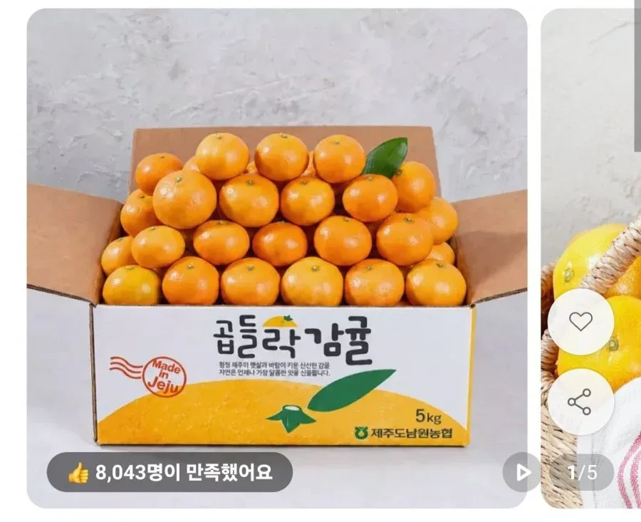 [11번가] 제주 노지 감귤 4.5kg 소과 (9,720원/무료)