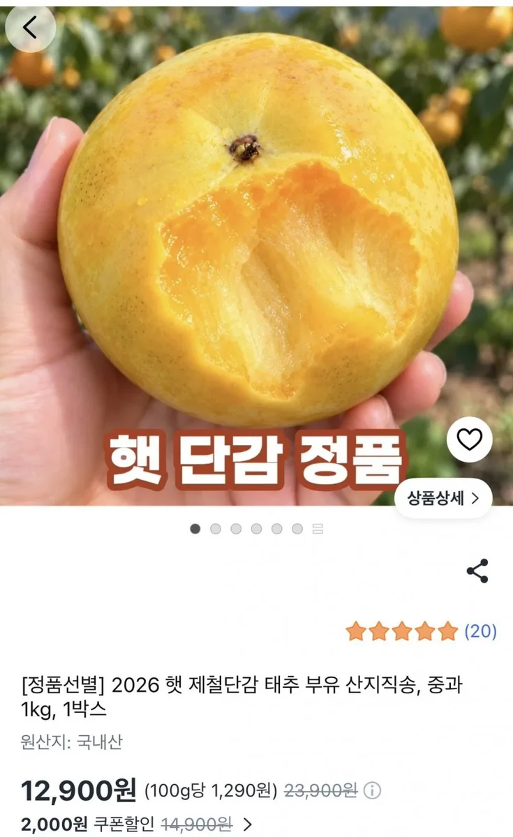 [쿠팡] 2026 햇 제철단감 태추 부유 산지직송 (12900/무료배송)