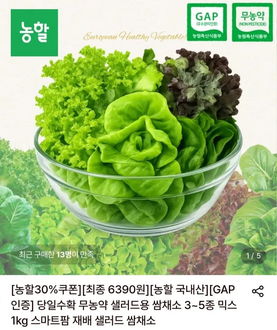롯데온) (끌올)무농약 샐러드용 쌈채소 3~5종 믹스 1kg (6,390, 무배)