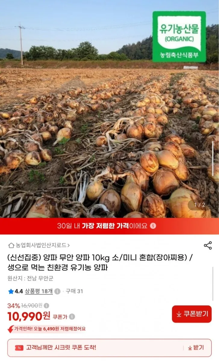 [G마켓] 친환경 양파 10kg 소미니 혼합 장아찌용 (10,990원/무배)
