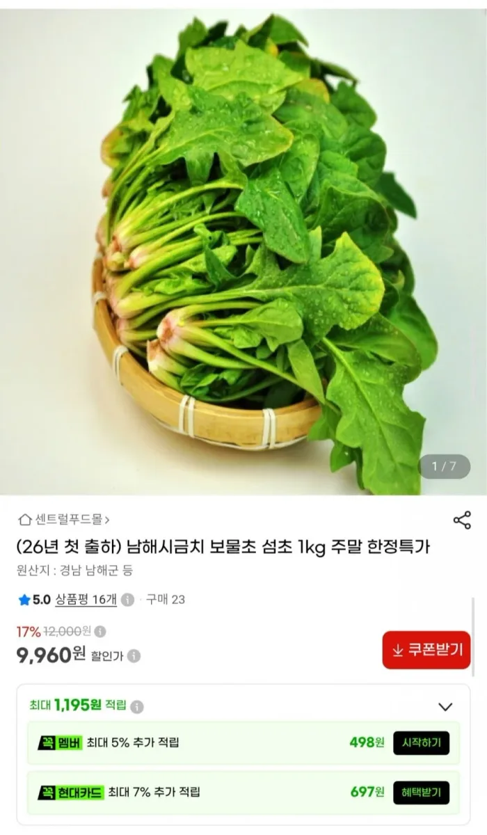 [G마켓] 26년 첫 출하 남해 보물초 시금치 1kg (9,960원/무배)