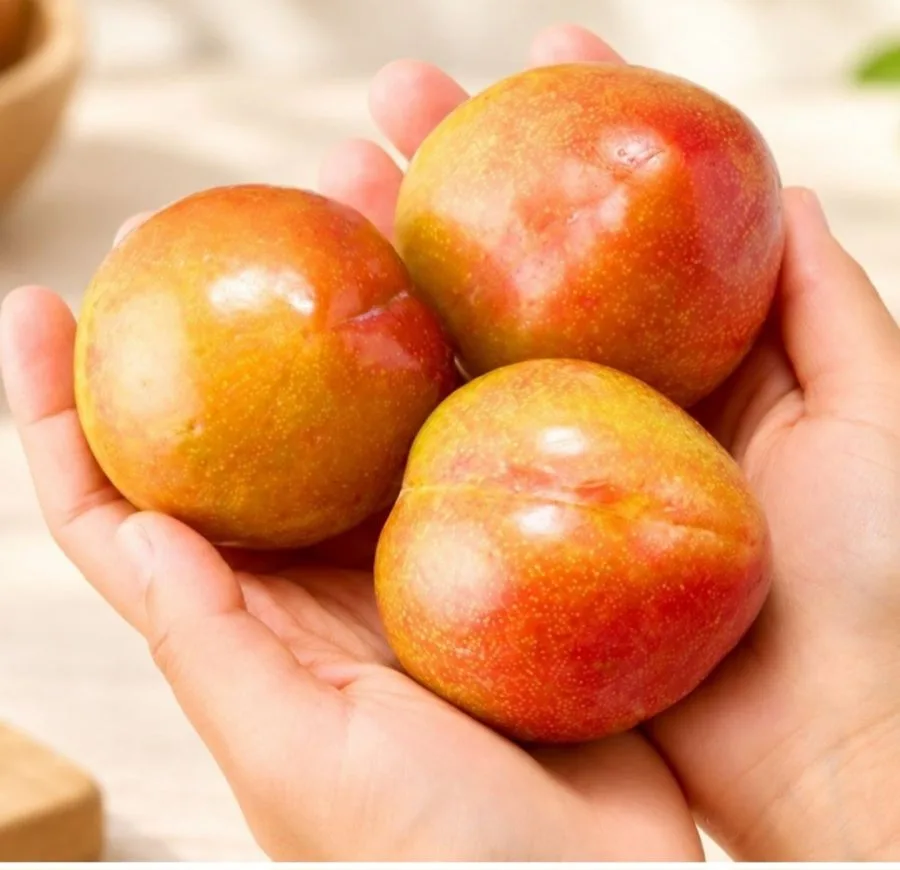 [오늘의집] 영천 노지 자두 2kg (12,960원/무료)