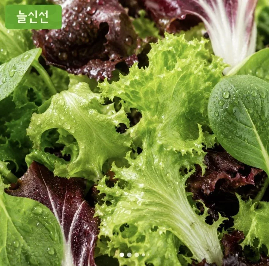 [오늘의집] 무농약 GAP 유러피안 샐러드 채소 1kg(5,967원/무료배송)