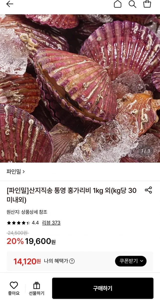 [롯데온] 산지직송 통영 홍가리비 4kg (14,120원/무료)
