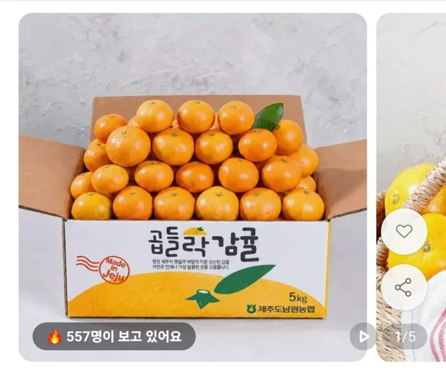 [11번가] 제주 노지 감귤 4.5kg 소과 (9,720원/무료)