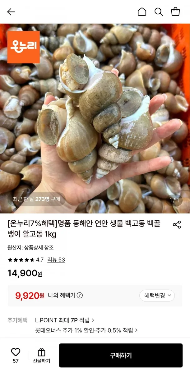 [롯데온] 동해안 연안 생물 활 백고동 소소 1kg (55~65미) (9,920원/무료)