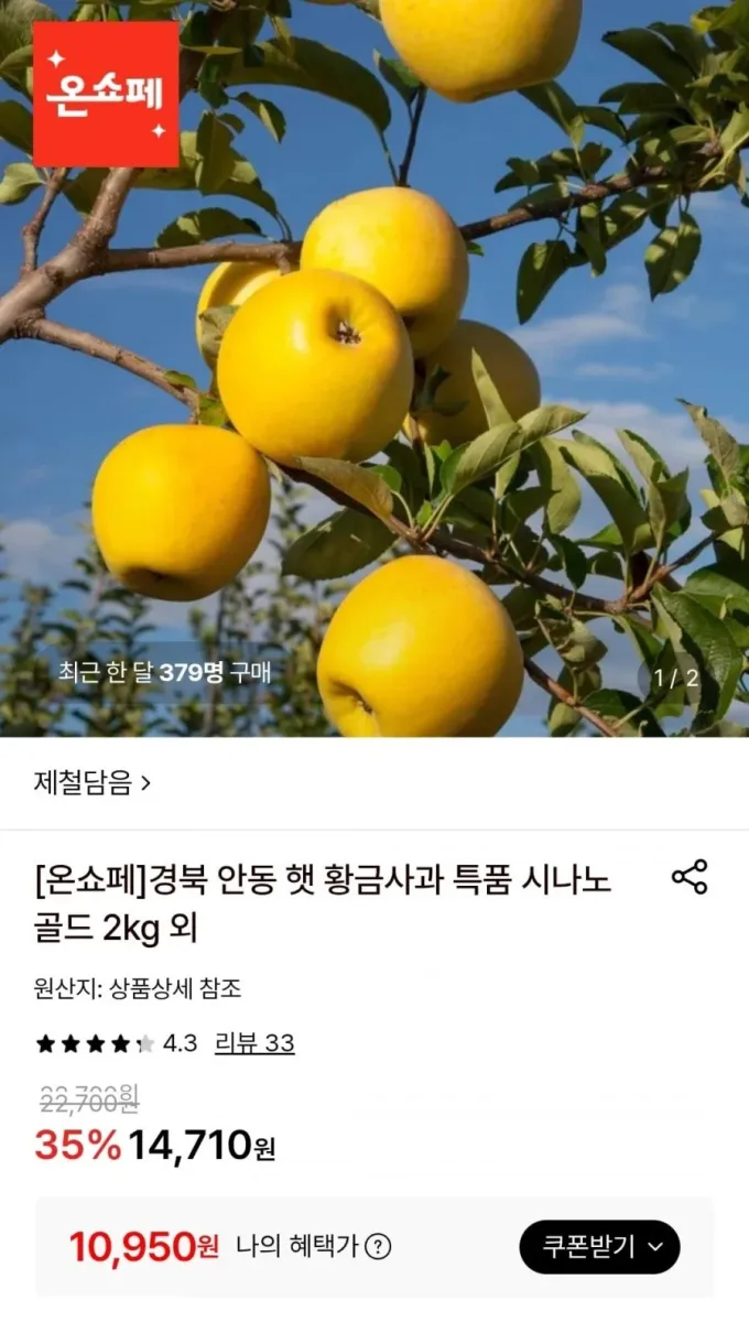 [롯데온] 시나노골드 가정용 소과 4kg (20-24과) (10,950원/무료)