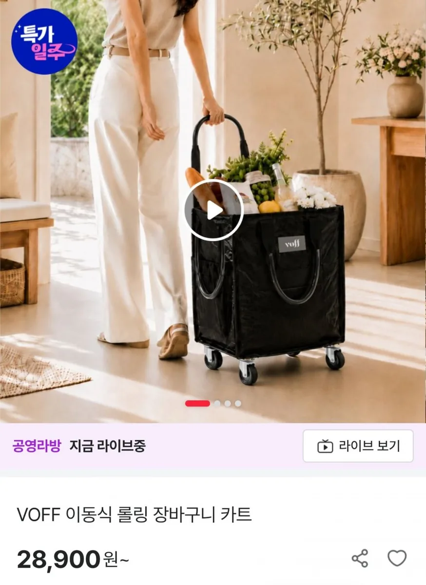 [공영쇼핑] 이동식 롤링 장바구니 카트 (28,900원/무료배송)