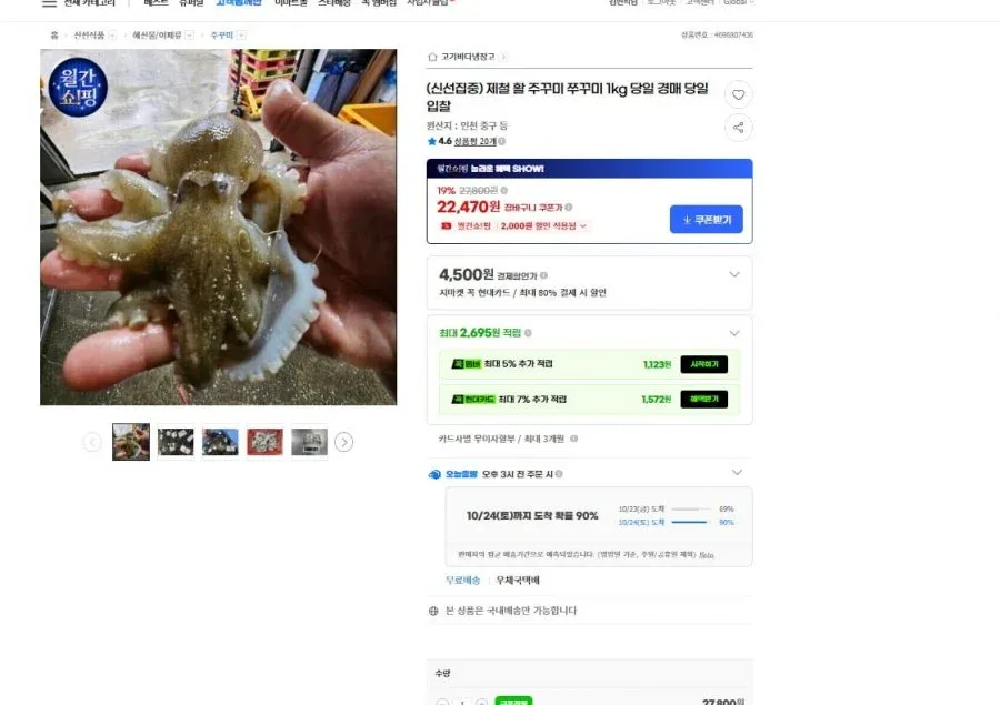 [지마켓] 국내산 쭈꾸미 1kg (22,470원/무료)