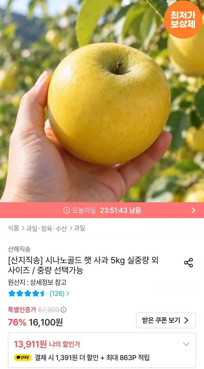 [오늘의집] 시나노골드 햇사과 5kg 소과 (12,938원/무료배송)