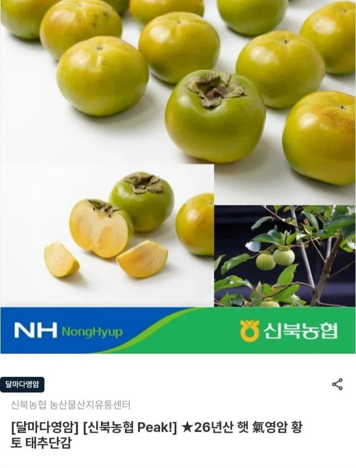 [영암몰] 26년산 영암 황토 태추단감 3kg 혼합 가정용(15-20과) (14,320원/무료)