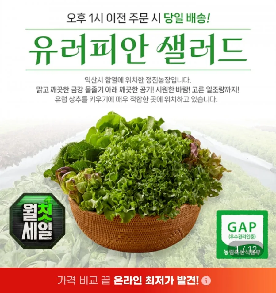 [지마켓] 샐러드상추쌈채소 5~6종 1kg (8,480원/무료)