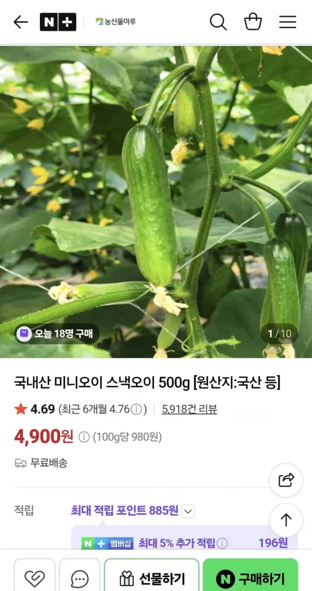 [네이버]국내산 미니오이 스낵오이 500g (4,900/무배)