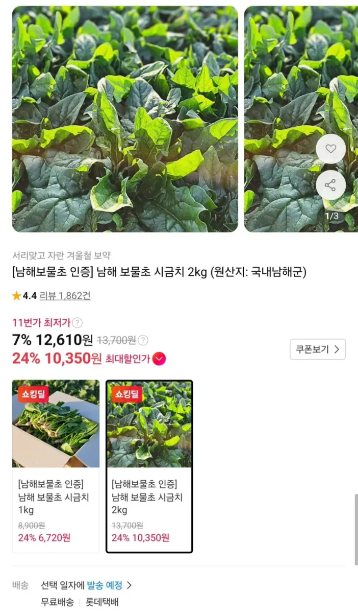 [11번가] 남해 보물초 시금치 2kg (10,350원/무배)