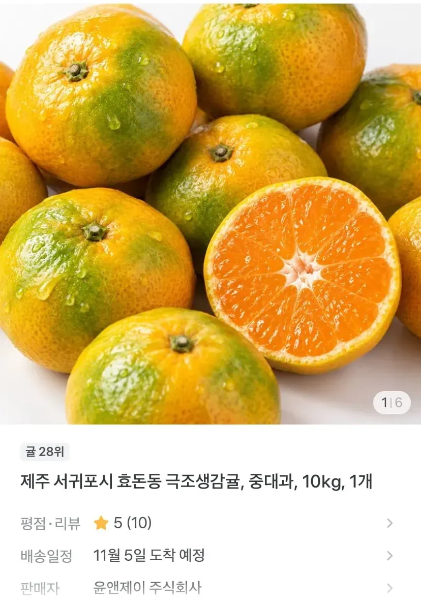 [토스] 제주 효돈동 감귤 중대과 10kg (10,900원/무배)