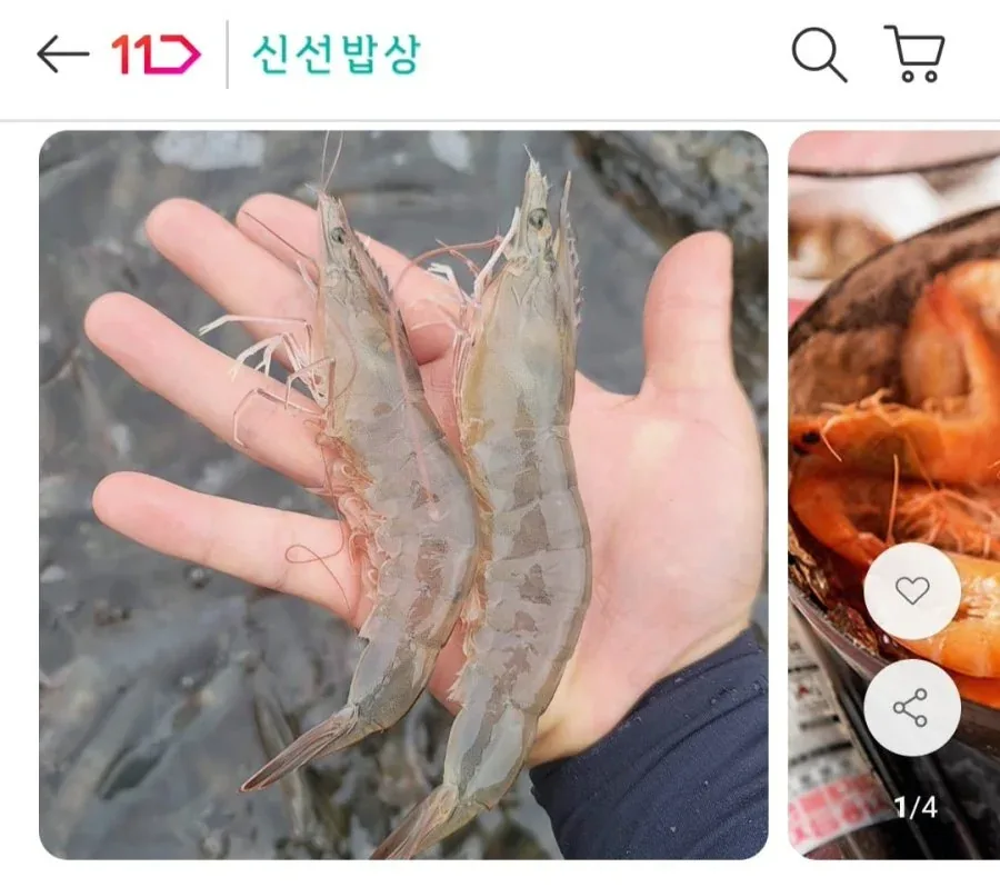 [11번가]26년 흰다리 새우 1kg 28미 내외 (16,710원/무료)
