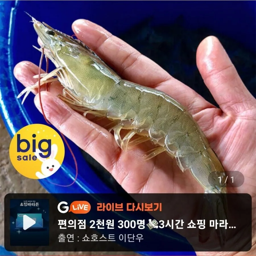 [G마켓]국내산 제철 흰다리 왕새우 1kg(30미 내외) (19,860원/무배)