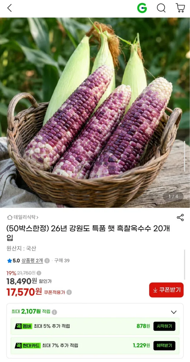 [G마켓] 26년 강원도 특품 햇 흑찰옥수수 20개 (17,570원/무료)