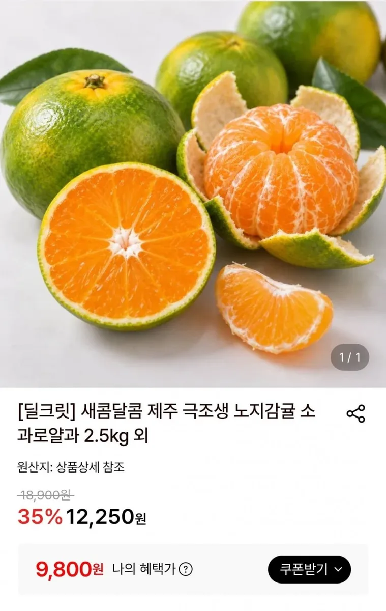 [롯데온] 새콤달콤 제주 극조생 노지감귤 소과로얄과 2.5kg (9,800원/무료)