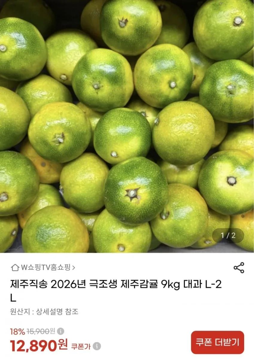 [G마켓] 26년 제주직송 극조생 감귤 대과 9kg (12,250원/무료)