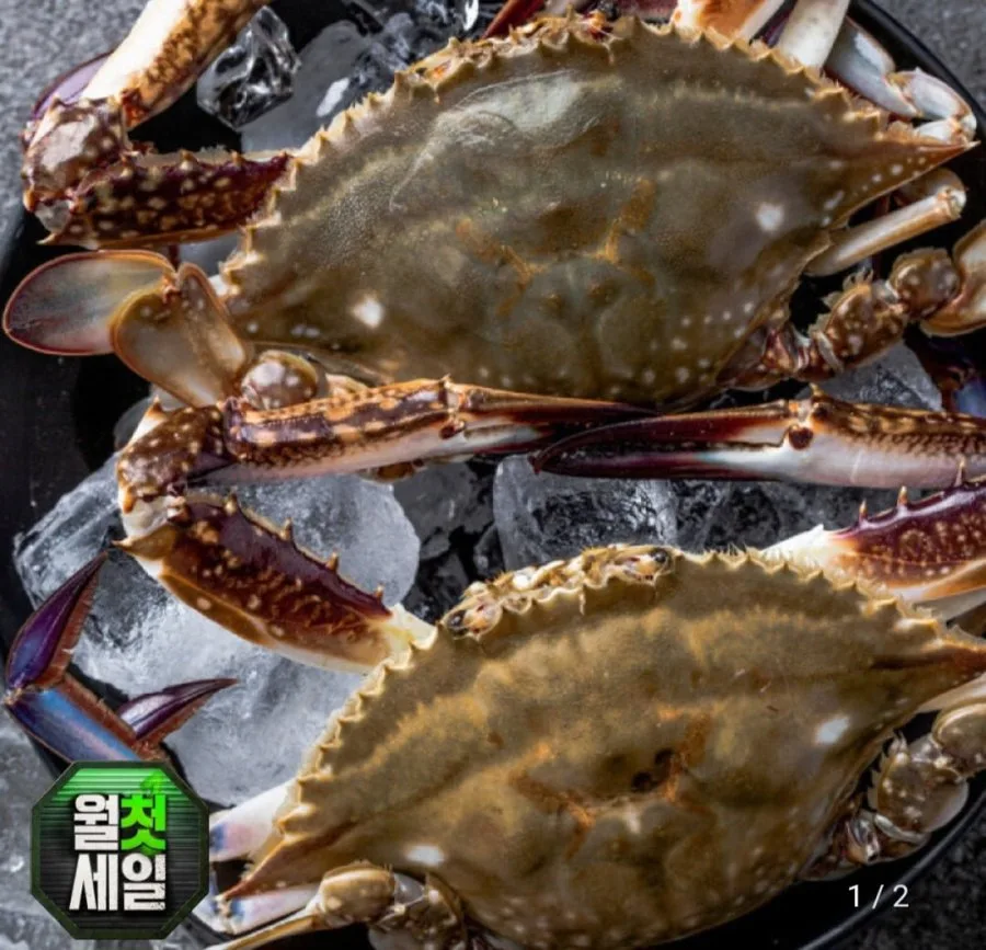 [G마켓] 꽃게 수꽃게 2kg (21,990원 / 무료)