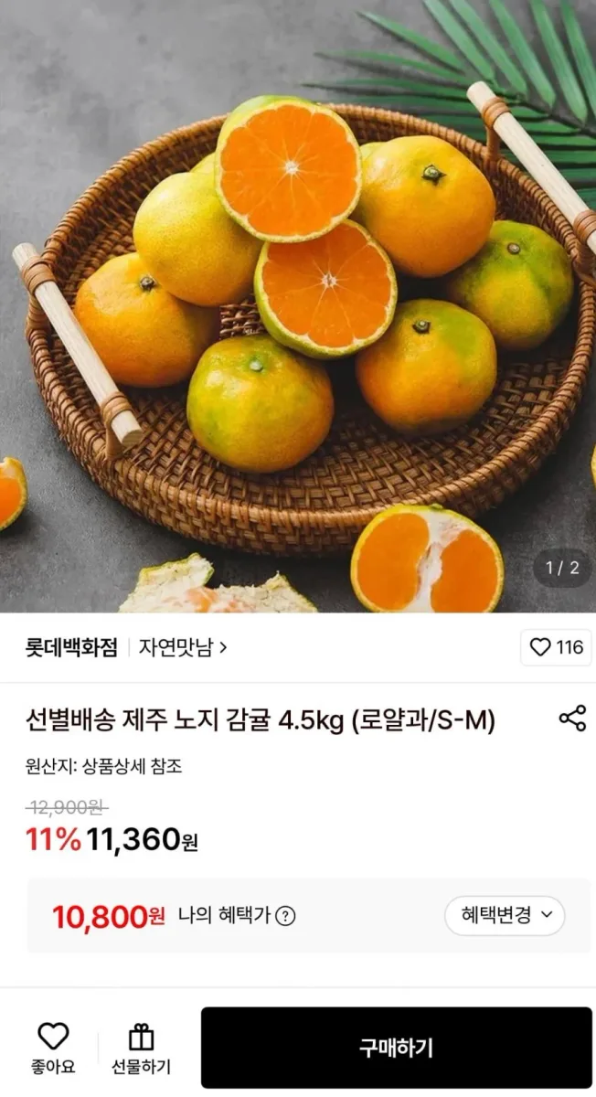 [롯데온] 선별배송 제주 노지 감귤 4.5kg 로얄과 (10,800원/무료)