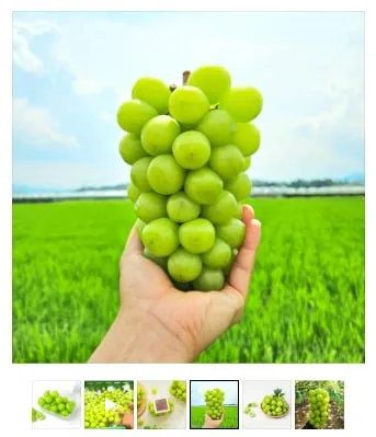 [톡딜] 김천 샤인 머스켓 알알이 포장 400g 2팩 (9,900원/무료)