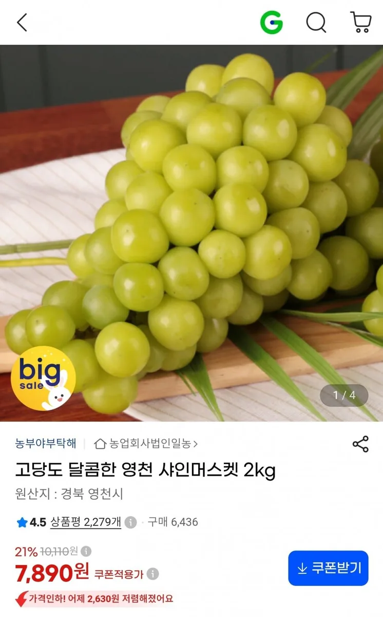 [지마켓] 영천 샤인머스켓 2kg (7,890원/무료)