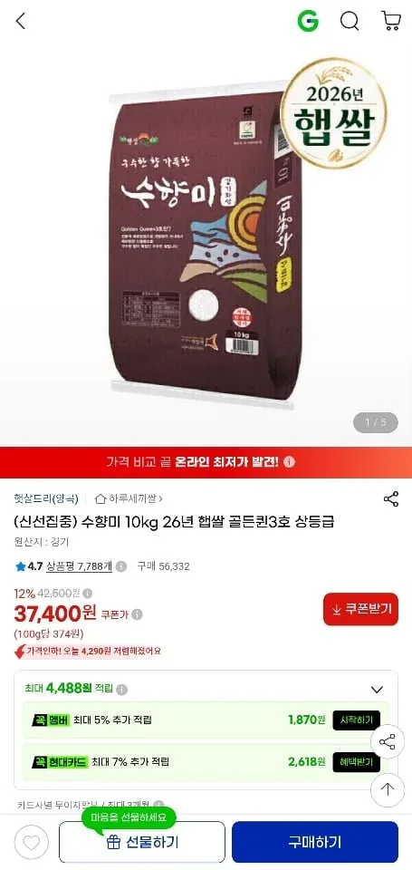 [지마켓] 수향미 10kg 26년 햅쌀 골든퀸3호 상등급 (37,400원/무료)