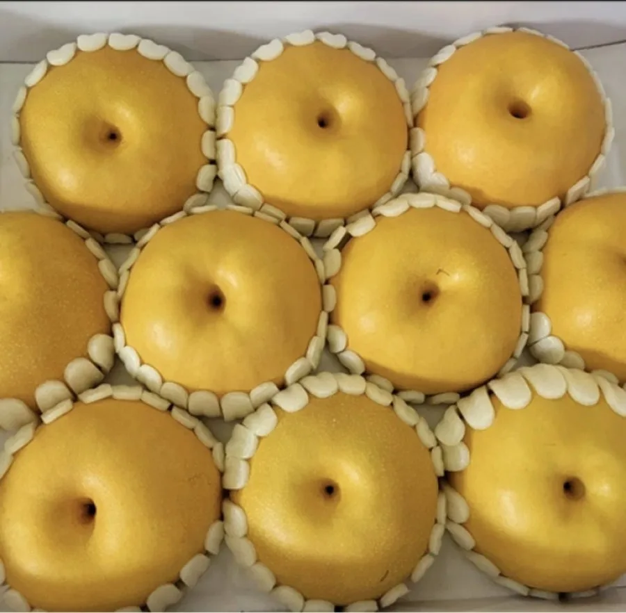 [네이버] 나주 가정용배 5kg (12,900원/무료)