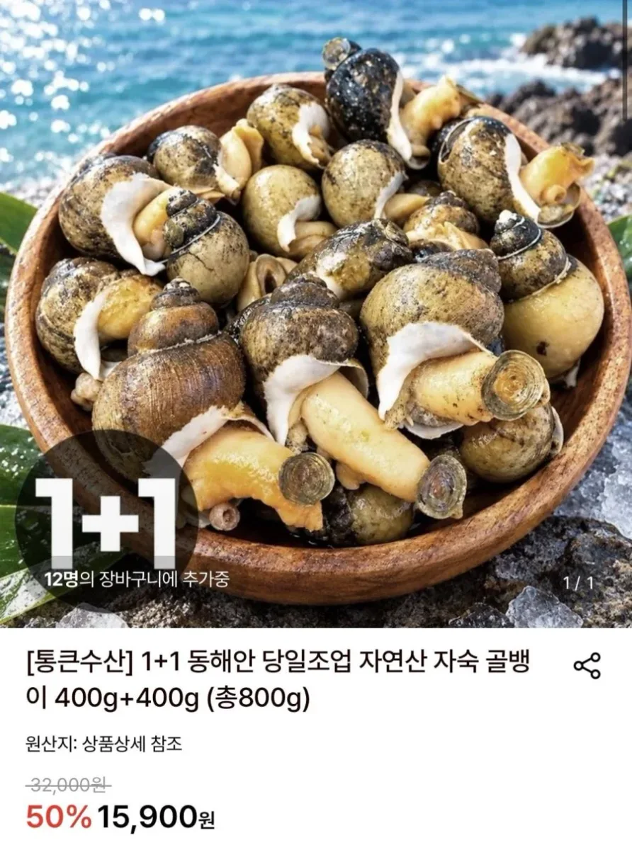 [롯데온] 동해안 당일조업 자연산 자숙 골뱅이 400g + 400g (15,900원/무료)