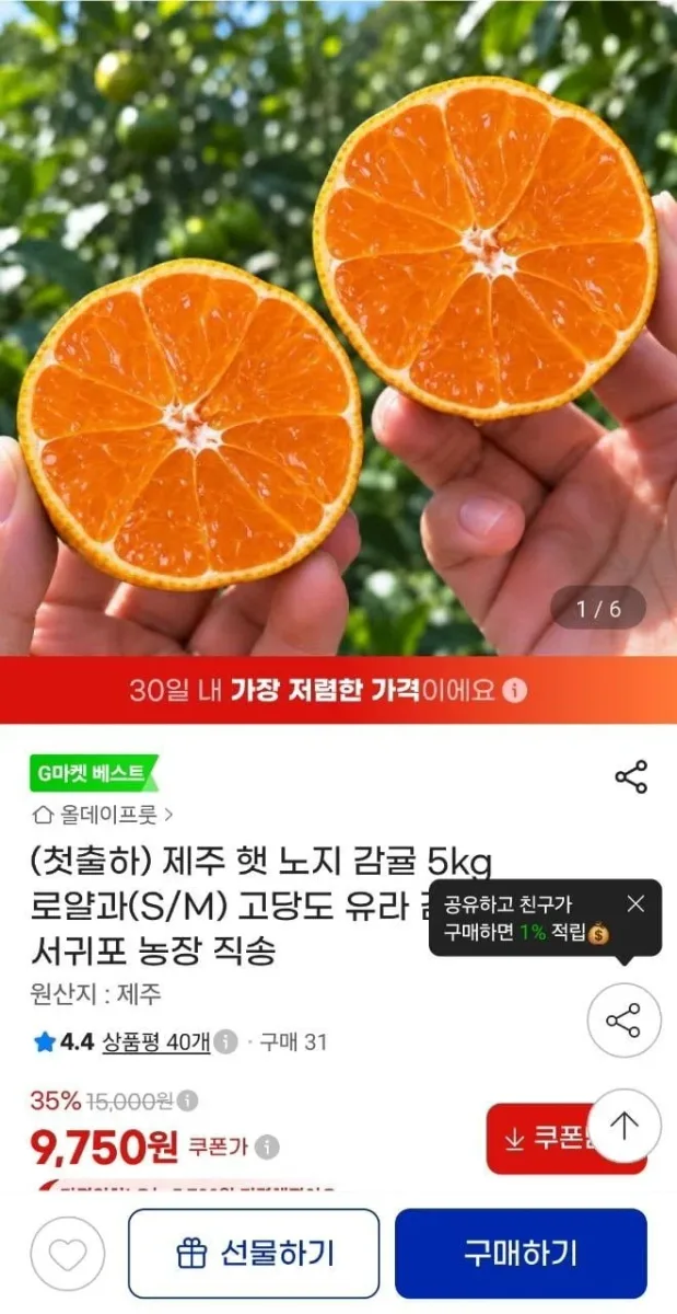 [지마켓] 제주 햇 노지감귤 5kg 로얄과 (9,750/무배)