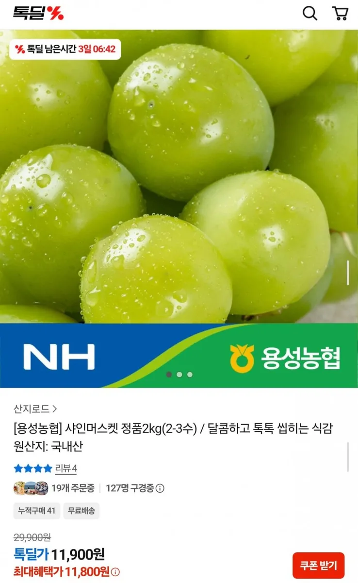 [카카오] 용성농협 샤인머스켓 정품 2kg 2~3수 (11,900원/무료)